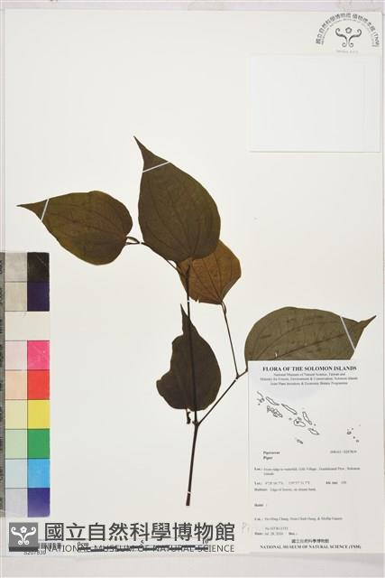 登錄號:S207839藏品圖，第1張