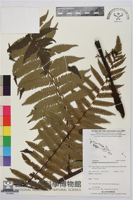 登錄號:P019869藏品圖，第1張