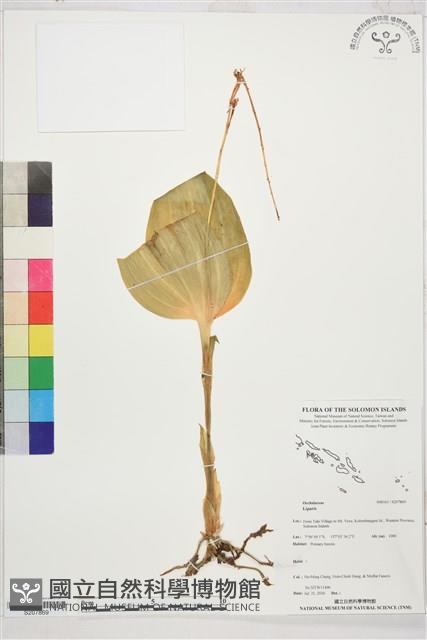 登錄號:S207869藏品圖，第1張