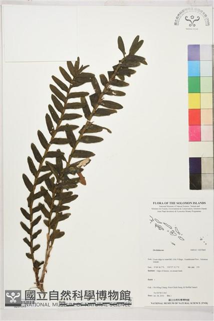 登錄號:S207849藏品圖，第1張