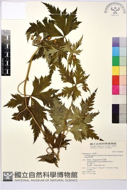 Accession Number:S046549 Collection Image