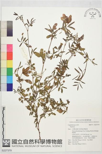 登錄號:S227379藏品圖，第1張