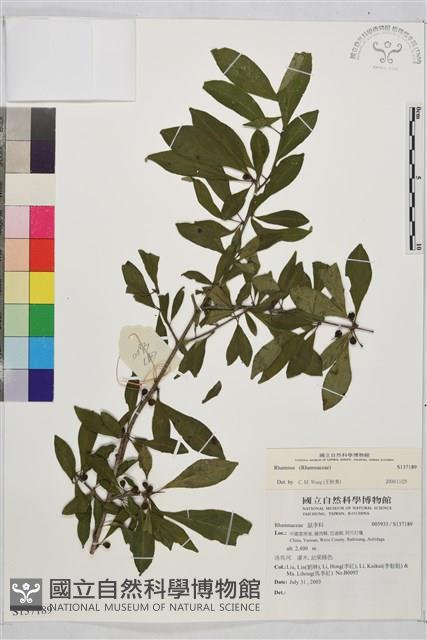 登錄號:S137189藏品圖，第1張