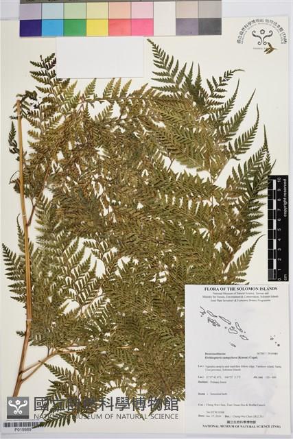 登錄號:P019989藏品圖，第1張