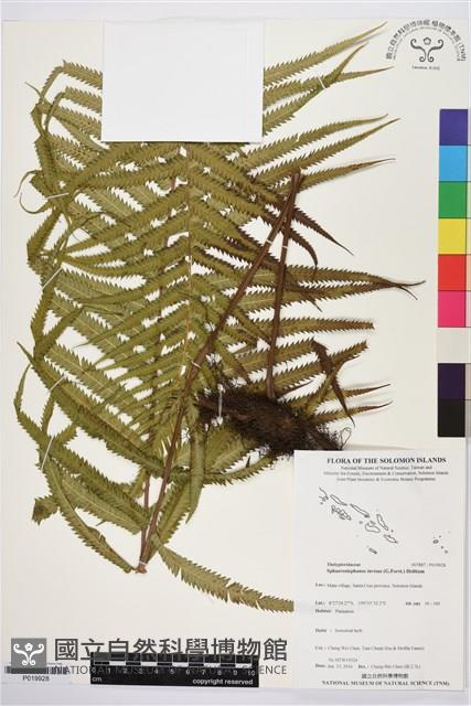 登錄號:P019928藏品圖，第1張