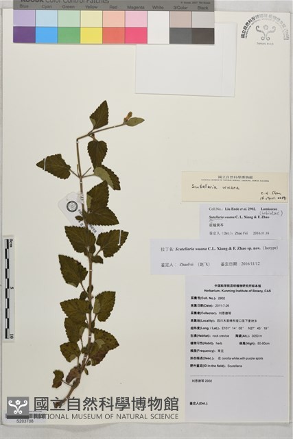 登錄號:S203708藏品圖，第1張