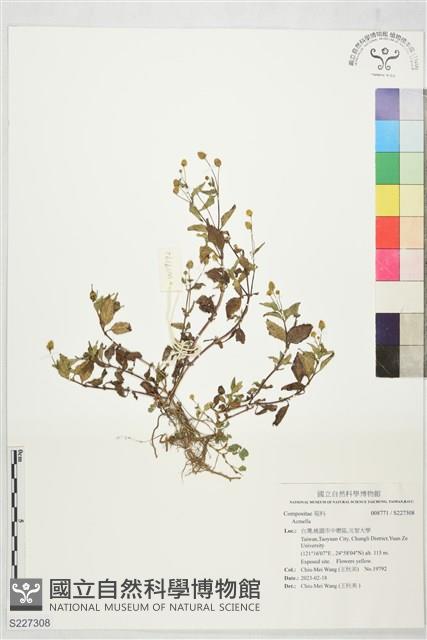 登錄號:S227308藏品圖，第1張