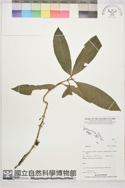 登錄號:S207808藏品圖，第1張