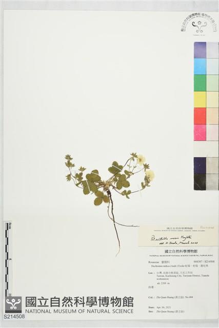 登錄號:S214508藏品圖，第1張