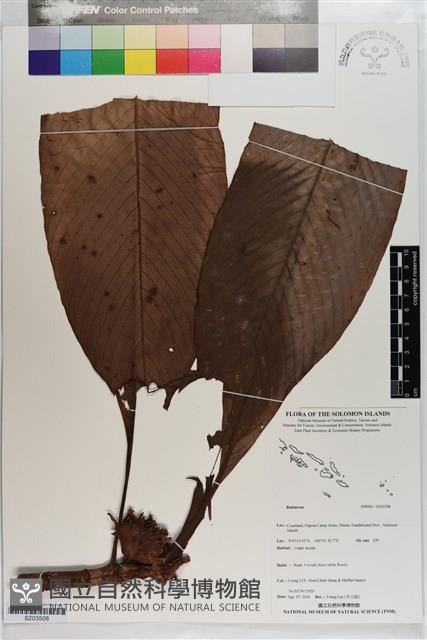 登錄號:S203508藏品圖，第1張