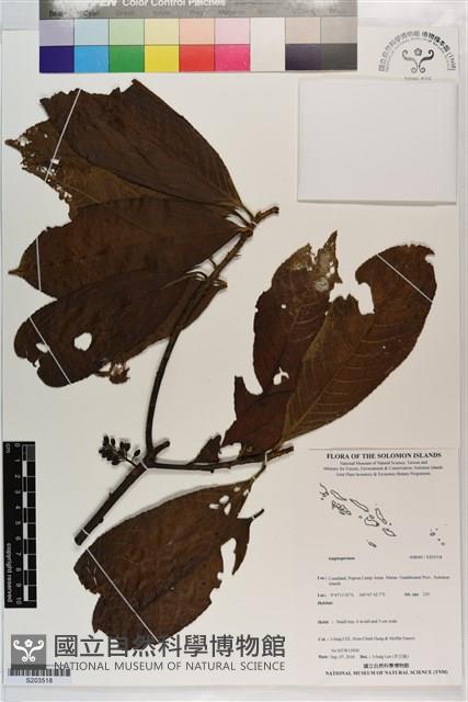 登錄號:S203518藏品圖，第1張