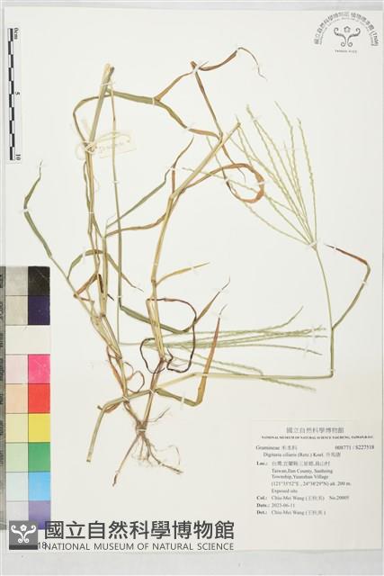 升馬唐藏品圖，第1張