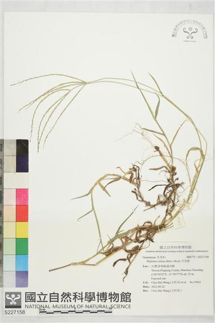升馬唐藏品圖，第1張