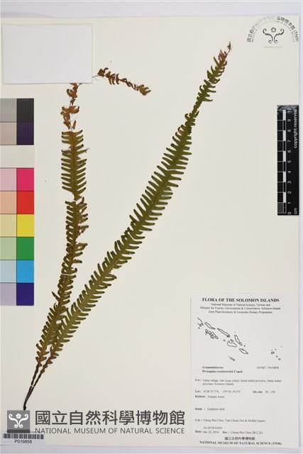 登錄號:P019858藏品圖，第1張