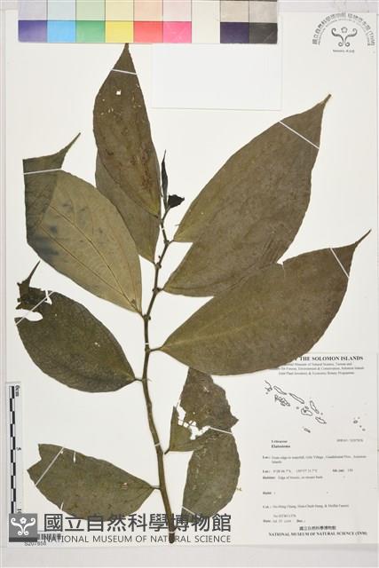 登錄號:S207858藏品圖，第1張