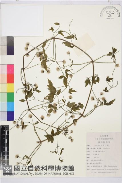 登錄號:S104638藏品圖，第1張