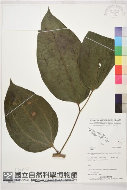 登錄號:S207838藏品圖，第1張