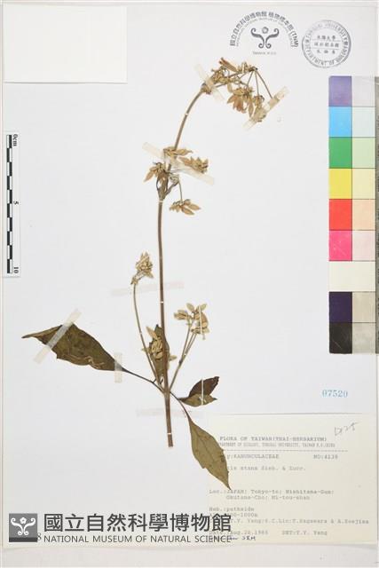 登錄號:S067538藏品圖，第1張