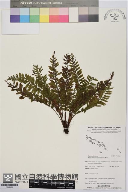 登錄號:P019868藏品圖，第1張