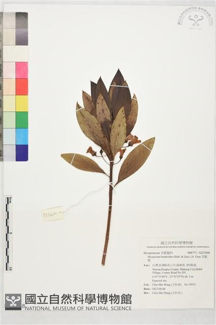 苦藍盤藏品圖，第1張