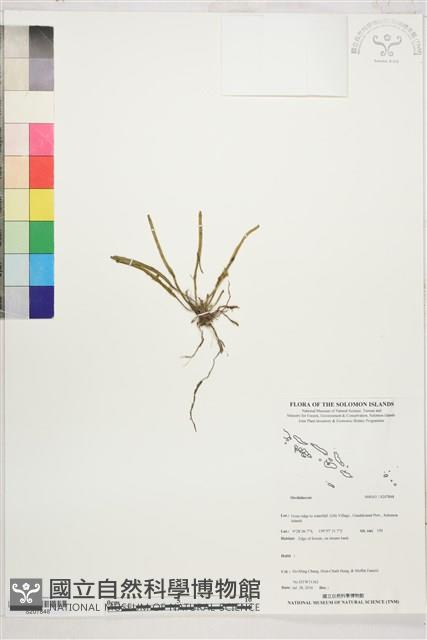 登錄號:S207848藏品圖，第1張