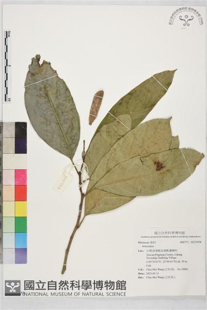 登錄號:S227478藏品圖，第1張