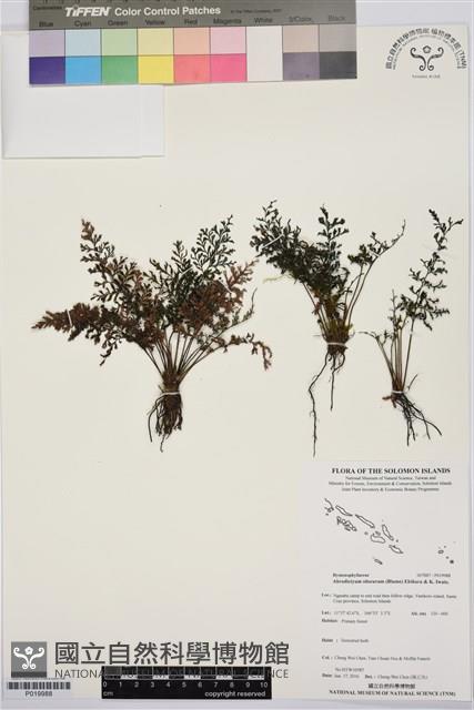 登錄號:P019988藏品圖，第1張