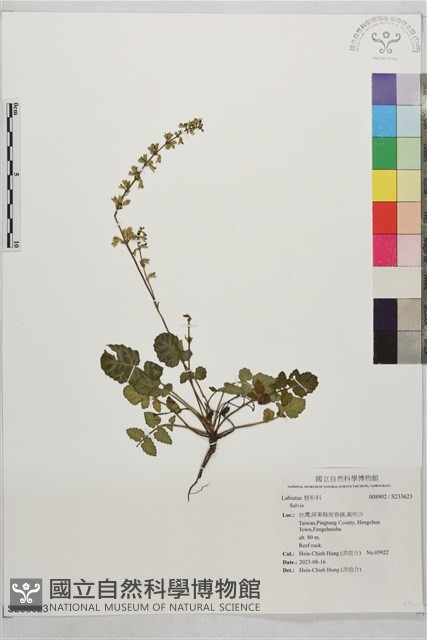 登錄號:S233623藏品圖，第1張