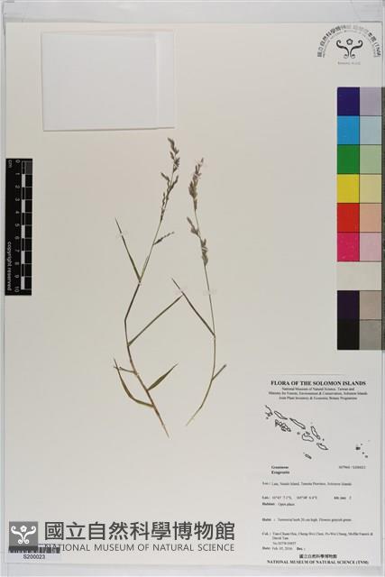 登錄號:S200023藏品圖，第1張