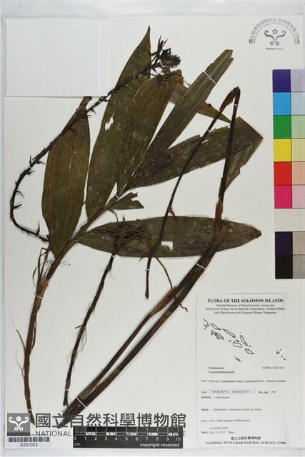 登錄號:S201023藏品圖，第1張