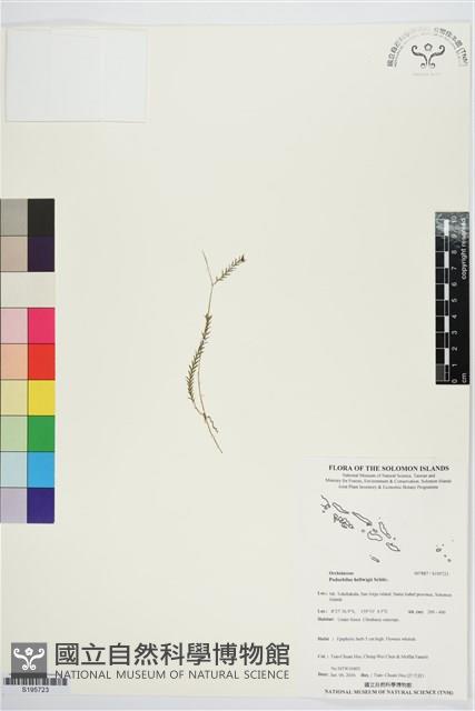 登錄號:S195723藏品圖，第1張