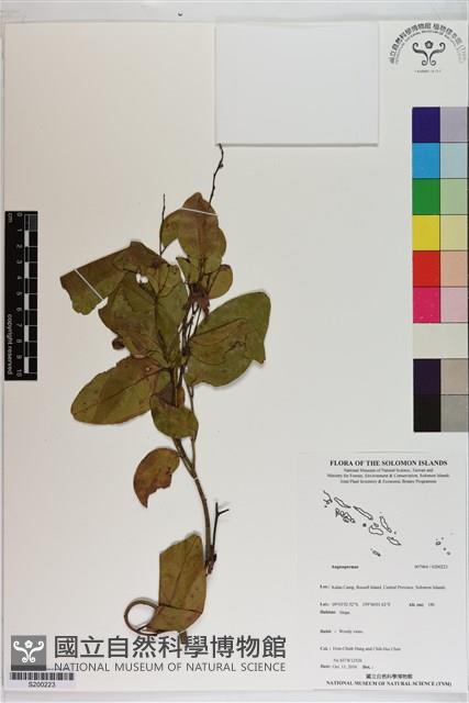 登錄號:S200223藏品圖，第1張