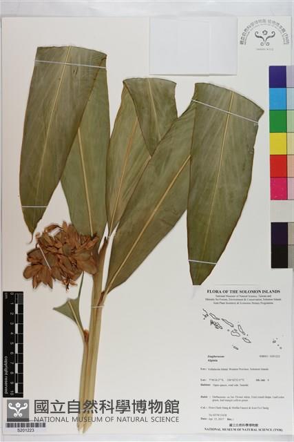 登錄號:S201223藏品圖，第1張