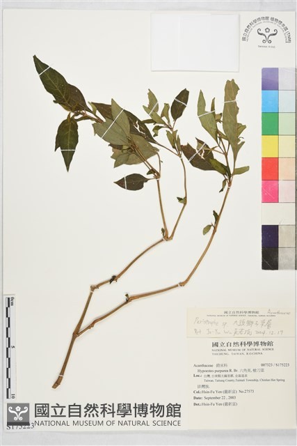登錄號:S175223藏品圖，第1張