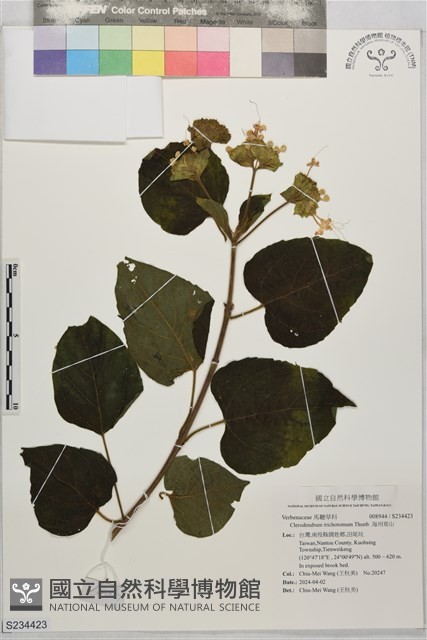 海州常山藏品圖，第1張