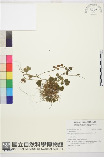 登錄號:S138423藏品圖，第1張