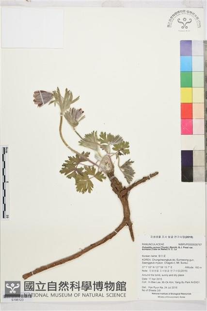 登錄號:S196123藏品圖，第1張