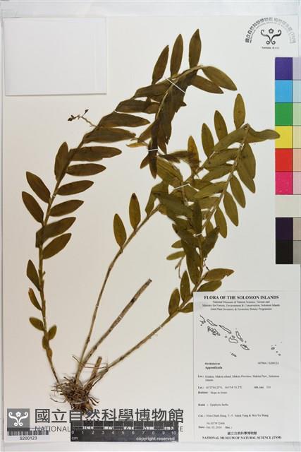 登錄號:S200123藏品圖，第1張