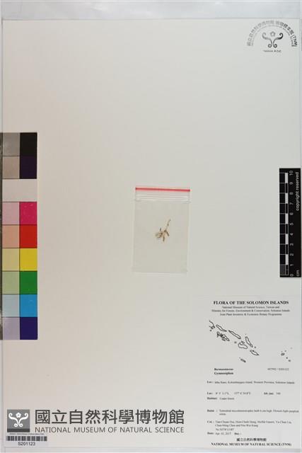 登錄號:S201123藏品圖，第1張