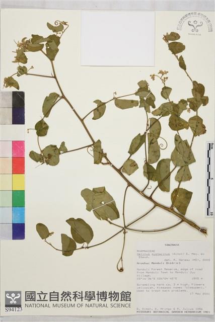 登錄號:S094123藏品圖，第1張