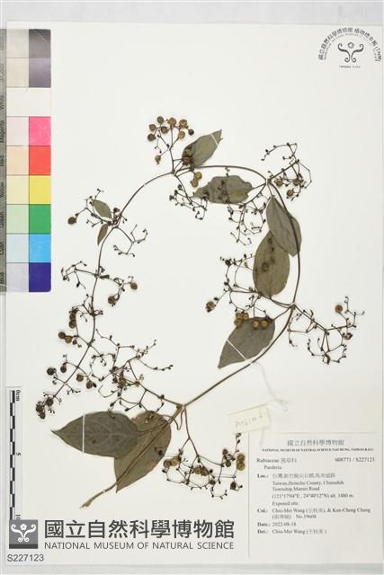 登錄號:S227123藏品圖，第1張