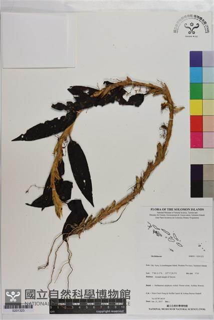 登錄號:S201323藏品圖，第1張