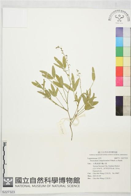 登錄號:S227323藏品圖，第1張