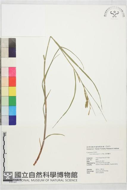 登錄號:S197323藏品圖，第1張