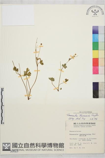 Accession Number:S000823 Collection Image