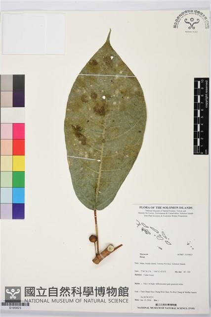 登錄號:S195823藏品圖，第1張