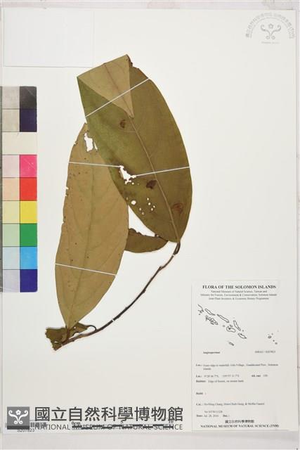 登錄號:S207823藏品圖，第1張