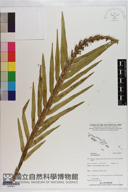 登錄號:S200923藏品圖，第1張