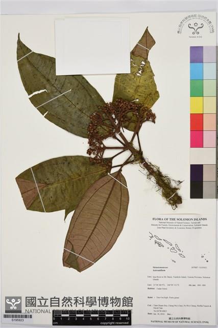 登錄號:S195923藏品圖，第1張