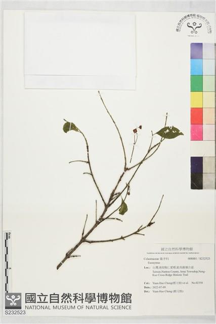 登錄號:S232523藏品圖，第1張